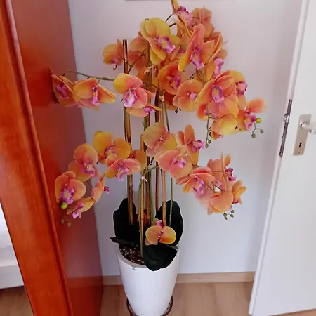Apartment Hristian *